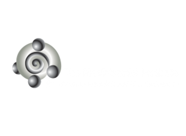 The MacDiarmid Institute