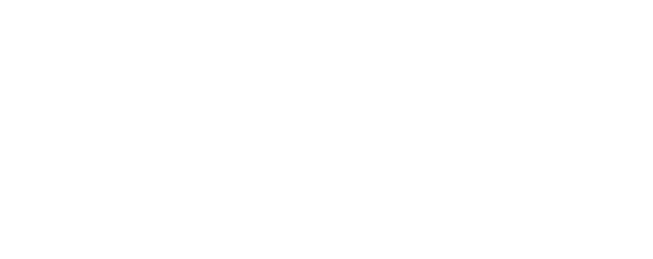 RMIT University